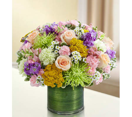 Cherished Memories - Multicolor Pastel