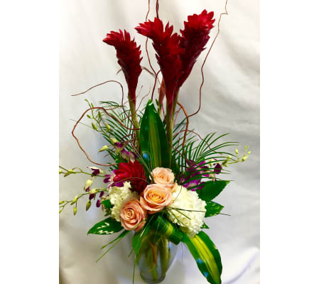 Ginger Bloom