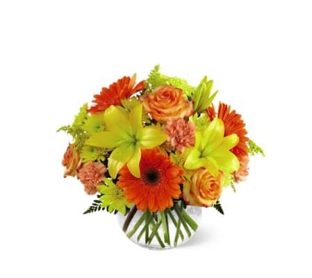 The FTD® Vibrant Views™ Bouquet in a Bubble Bowl