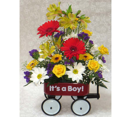 Baby Boy Wagon