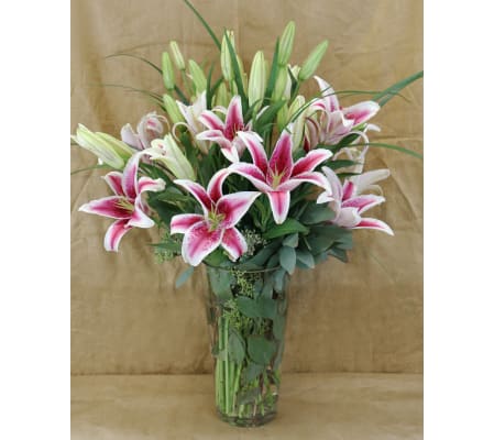 Exuberant Pink