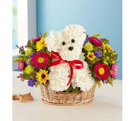 a-DOG-able® Basket
