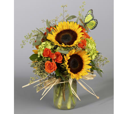 Sunflower Daydream