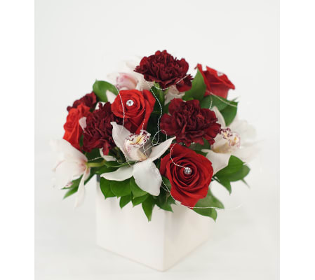 Classic Red Rose Beauty