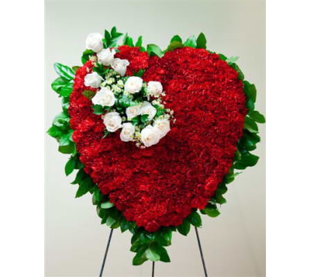 Red Bleeding Heart