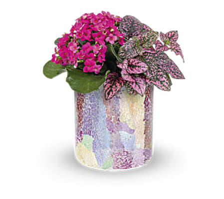 Teleflora's Blushing Duo