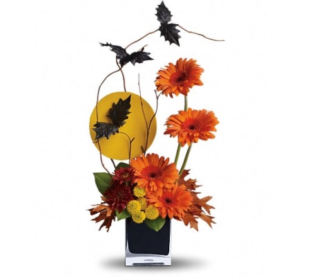 Teleflora's Boo-tiful Bats