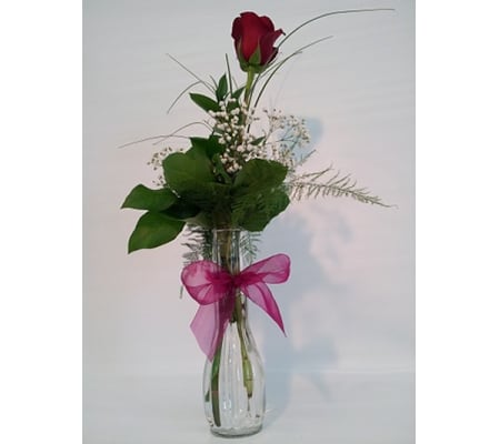 Red Rose Bud Vase