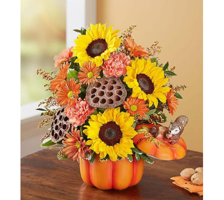 Pumpkin N' Posies™