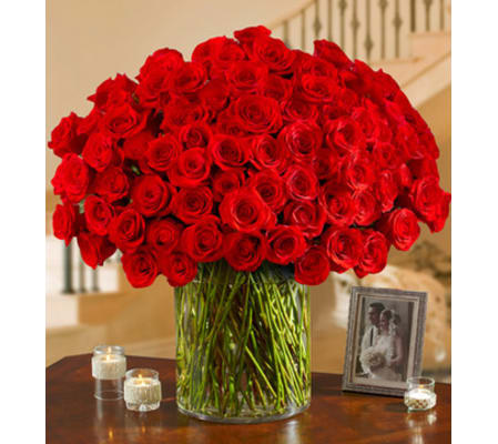 100 Red Roses