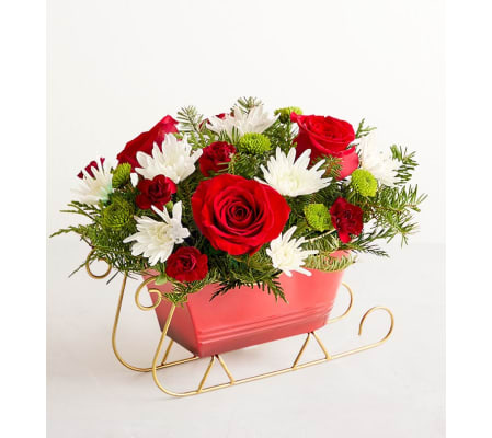 Dashing Through the Snow Sleigh™