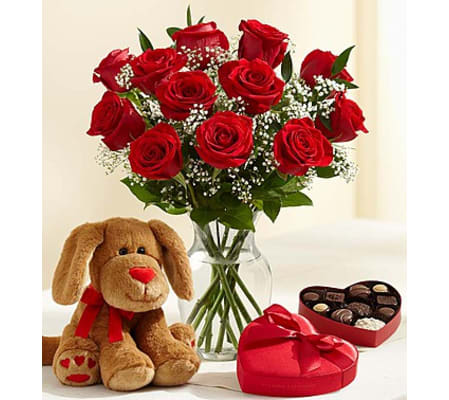 Abundant Love™ with Plush Dog