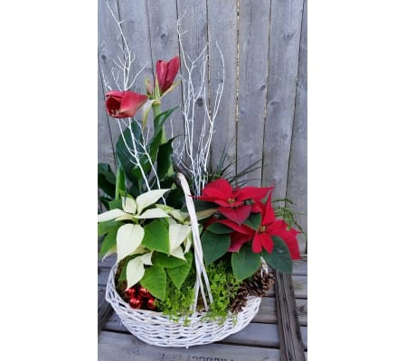 Christmas Planter