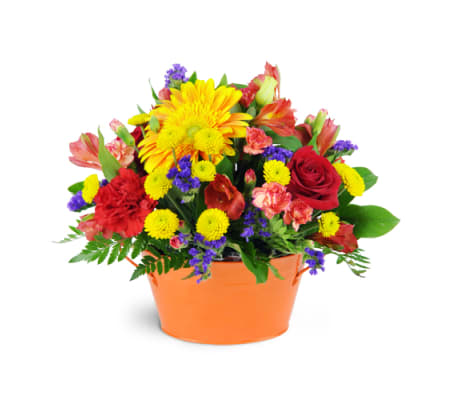 Vibrant Garden