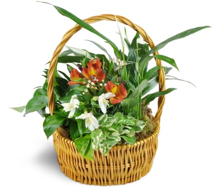Thinking of You Garden Basket