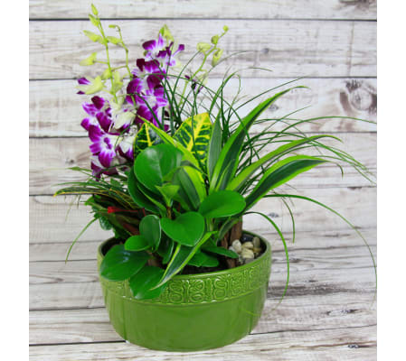 Lush Green Ceramic Garden