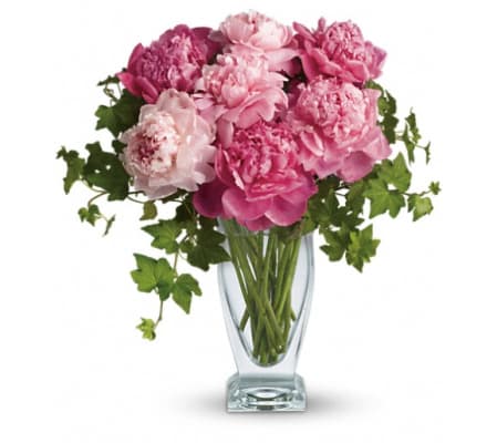 Teleflora's Perfect Peonies