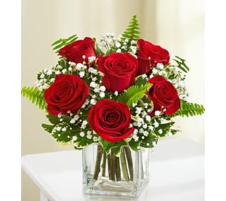 Love's Embrace - 6 Red Roses