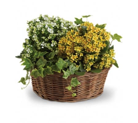 Basket of Joy