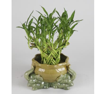 A & S Whitestone Artisan Bamboo Planter