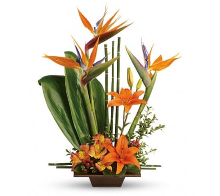 Teleflora's Exotic Grace