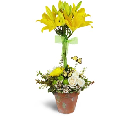Happiness in Bloom™ Topiary