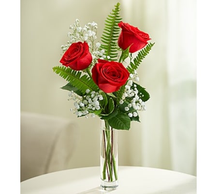 Love’s Embrace™ Roses - Red