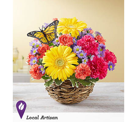 Summer Cheer™ in Bird’s Nest