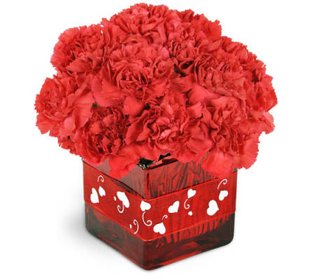 For My Valentine