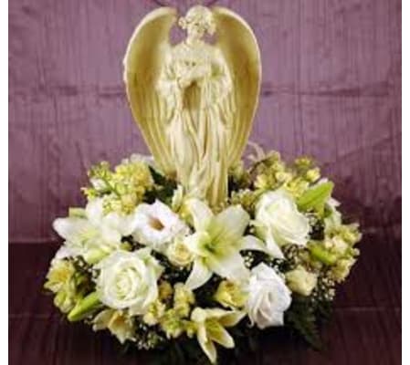 SYMPATHY ARRANGEMENT WITH ANGEL