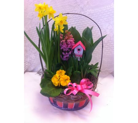 Spring Basket
