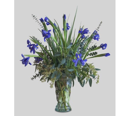 Iris's In Bloom