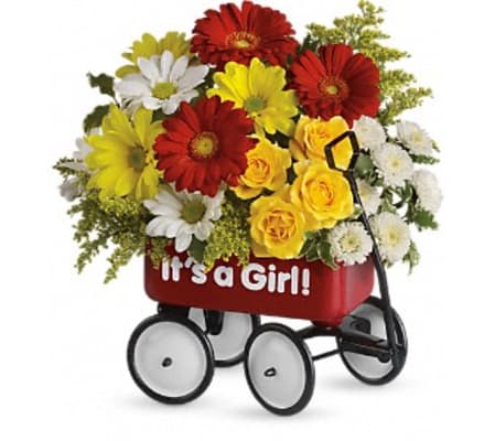 Girl Wagon