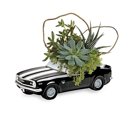 Teleflora's Chevy Camaro Plant Garden