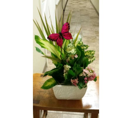 Serene Blooms