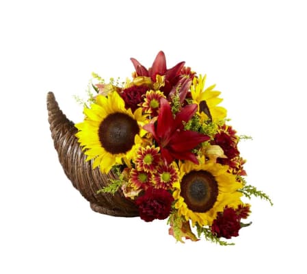 FTD® Fall Harvest™ Cornucopia by Better Homes and Gardens® 2016
