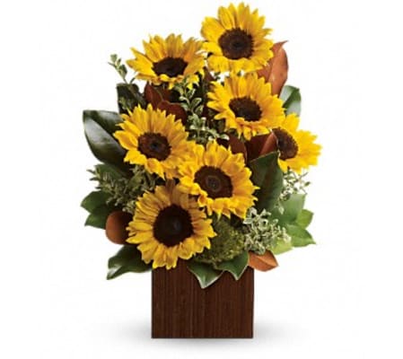 STUNNING SUNFLOWERS
