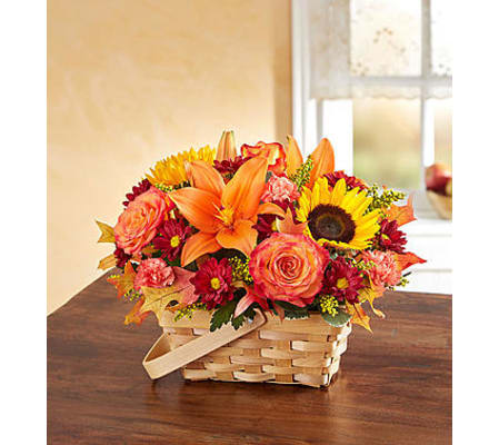 Fields of Europe™ for Fall Basket