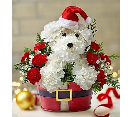 Santa Paws™