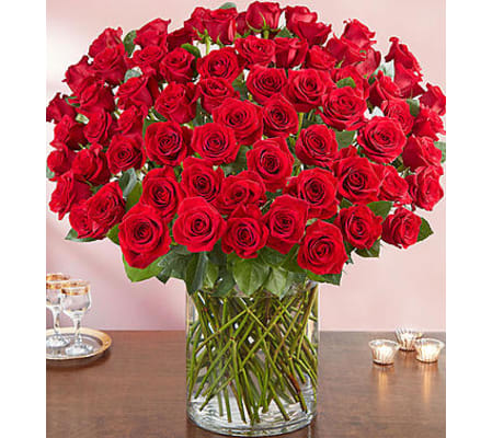 100 Premium Red Roses in a Vase