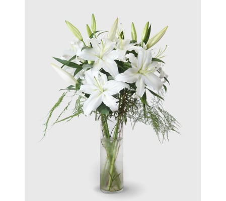 Dreaming of Lilies