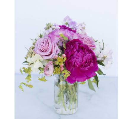 Pretty Peony