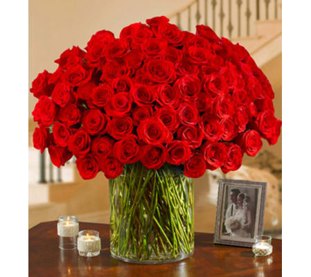 100 Premium Roses