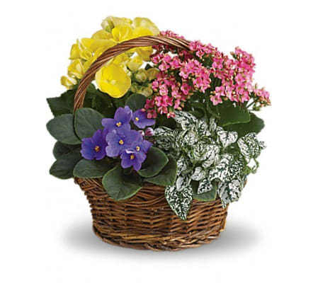 SPRING MIX BASKET
