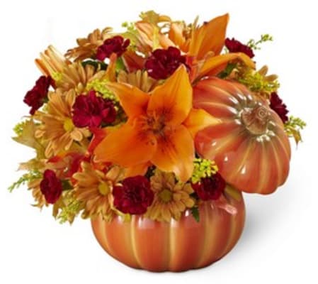 SALE Bountiful pumpkin
