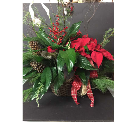 Holiday Planters