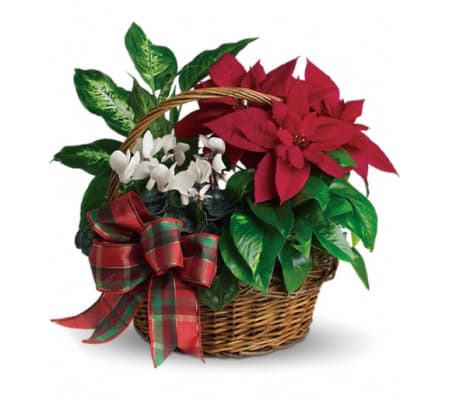 Holiday Homecoming Basket