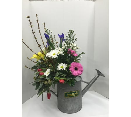 Watering Can Garden
