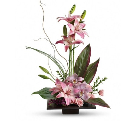 Imagination Blooms with Cymbidium Orchid