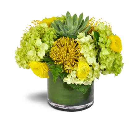 Succulent Sunray Bouquet™